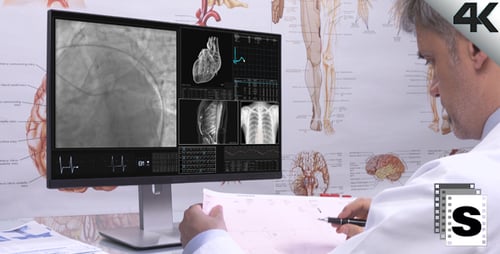 Doctor Cardiologist