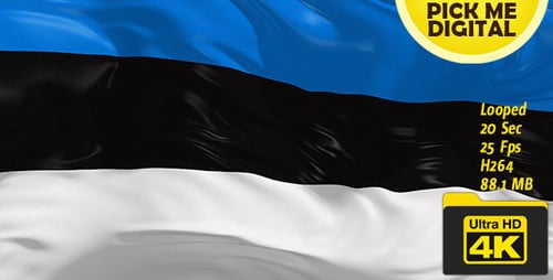 Realistic Estonia National Flag Waving Seamless Loop