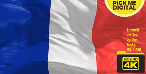 French Flag Waving Seamless Loop Animation