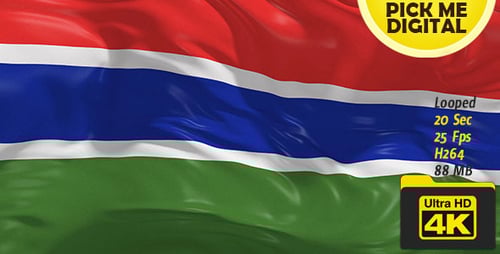 Waving Gambia Flag with Realistic Fabric Texture