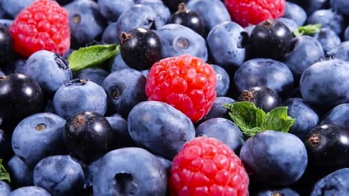 Blueberries, Currants and Raspberries Close Up Still Life