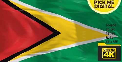 Guyana National Flag Seamless Waving Loop Animation