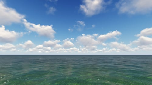 Tropical Island and Birds