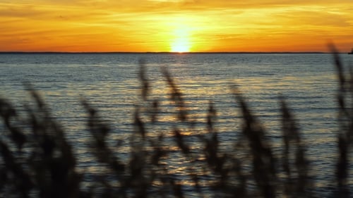 Golden Sunset Over the Calm Ocean