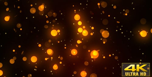 Light Fall 2