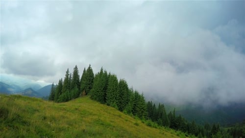Scenic Mountain Landscape with Lush Green Trees