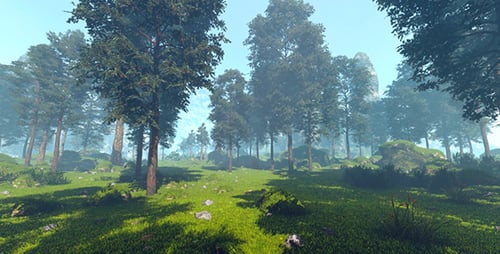 Lush Green Forest Landscape with Sunlight 3D Animation