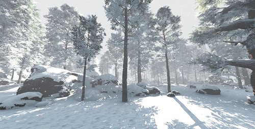 Winterlicher Wald