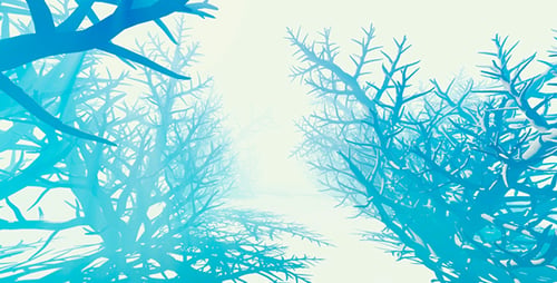 Fantastic Forest