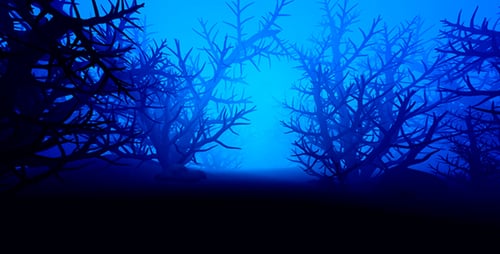 Dunkler fantastischer Wald