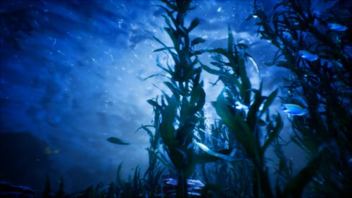 Animated School of Fish in Deep Blue Ocean Water