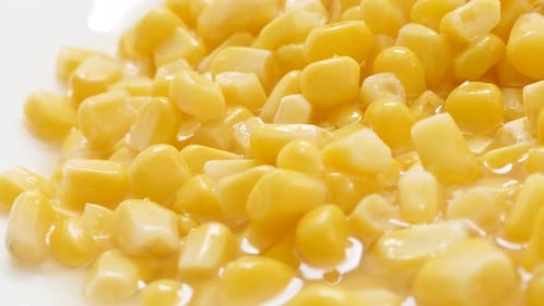 Served on plate corn maize kernels from the can close-up slow pan 4K 2160p 30fps UHD footage - Sweet