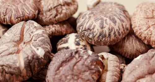 Dry mushroom in rotation
