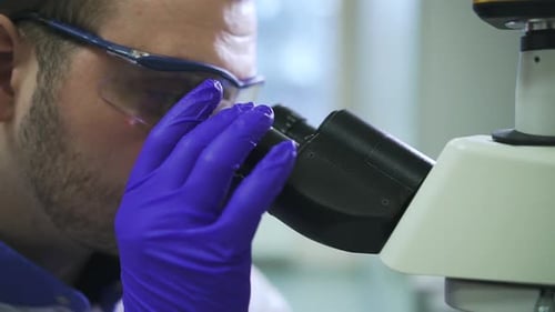 Scientist Using Microscope in Laboratory Close-Up