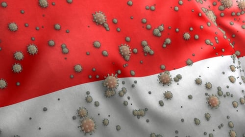 Covid Indonesia Flag / Corona Indonesia Flag