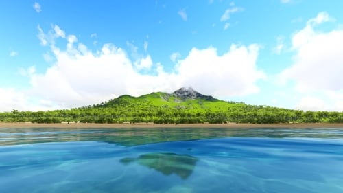 Tropical Sandy Beach and Waves