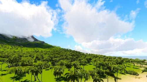 Tropical Sandy Beach and Waves