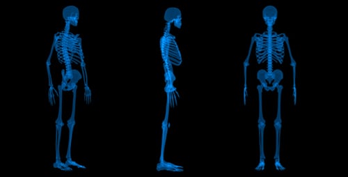 Künstliche Intelligenz von Skeleton