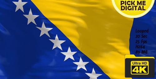 Bosnia and Herzegovina Flag 4K