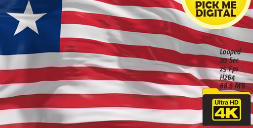 Realistic Waving National Flag Seamless Loop 4K