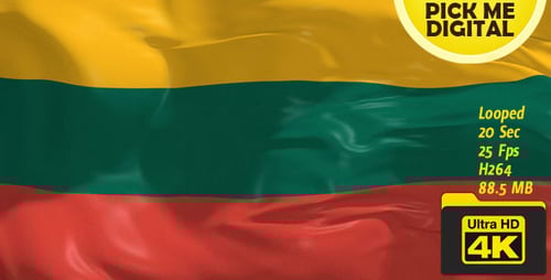Realistic Waving Flag of Lithuania Animation