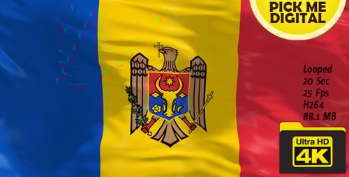 Realistic 3D Moldova Flag Waving Loop