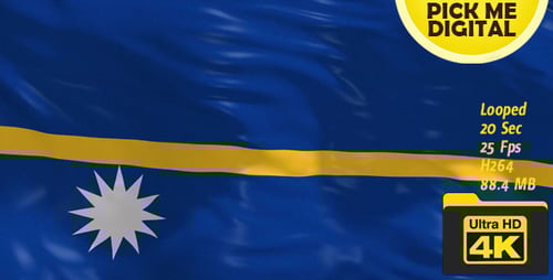 Nauru Flag Waving Seamless Loop Animation