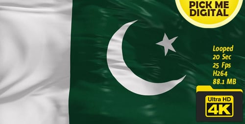 Realistic Waving Pakistan National Flag Loop