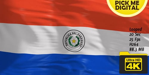 Paraguay National Flag Waving in Realistic Seamless Loop