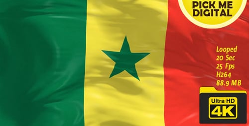 Realistic Waving Senegal National Flag Animation Loop