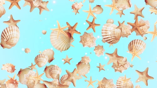 Floating Seashells And Starfish On Blue Background Loop