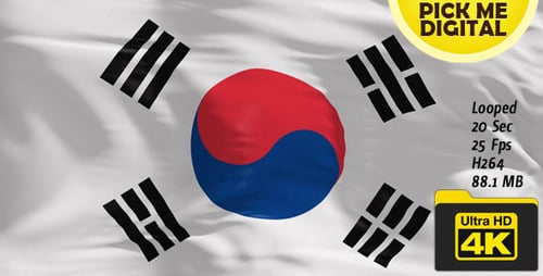 South Korea Flag 4K