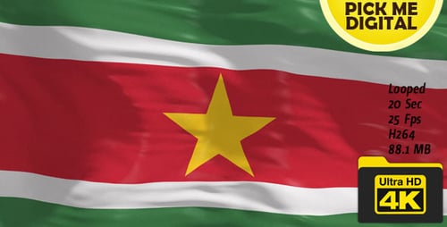 Seamless Loop of Suriname National Flag Waving in Wind