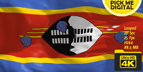 Realistic Eswatini National Flag Waving Animation