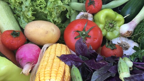 Fresh Vegetables Gathered After the Harvest