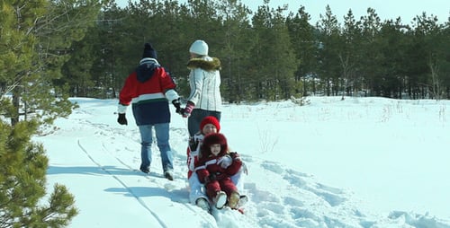 Winter Day Walk
