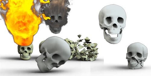 Skeleton-Packung Band 1