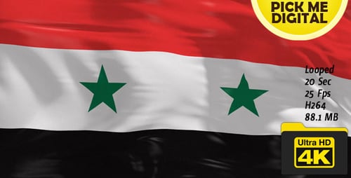 Realistic Waving Syria Flag Loop