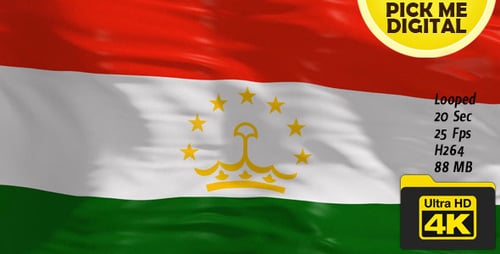 Tajikistan Flag Waving Seamlessly Looped Realistic 3D Animation