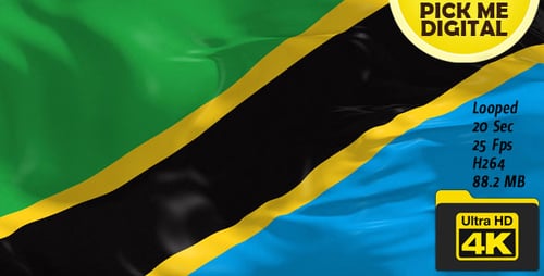 Tanzania National Flag Waving Loop in Realistic 3D