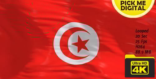 Realistic Waving Tunisia Flag Loop 4K