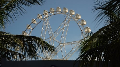 Ferris Wheel at an Amusement Park