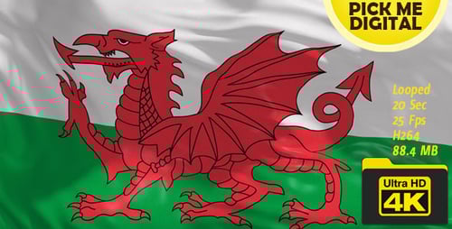 Realistic Waving Welsh Flag Seamless Loop Animation