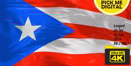 Animated Puerto Rico Flag Waving Seamless Loop