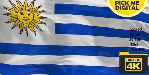 Uruguay National Flag Waving Loop Animation