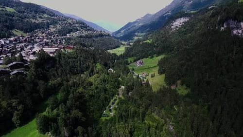 Flight over the fir trees in the valley