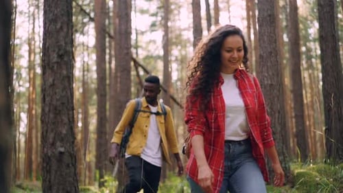 Slow Motion of Smiling Young People Walking in Forest and Looking Around Enjoying Beautiful Nature