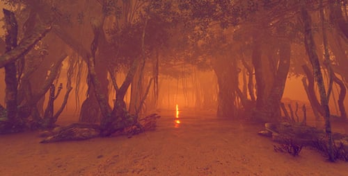 Fantastic Jungle At Sunset