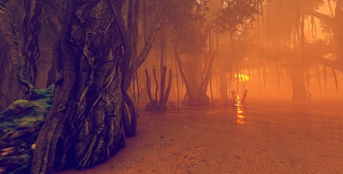 Atmospheric Forest Swamp Sunset With Misty Trees