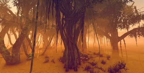 Mystical Mangrove Swamp Forest with Golden Light and Fog